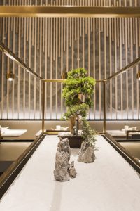 Dinning Area Design
