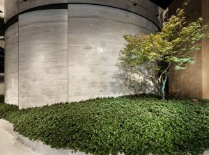 The Park Sales Gallery