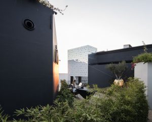 Irbis interior design