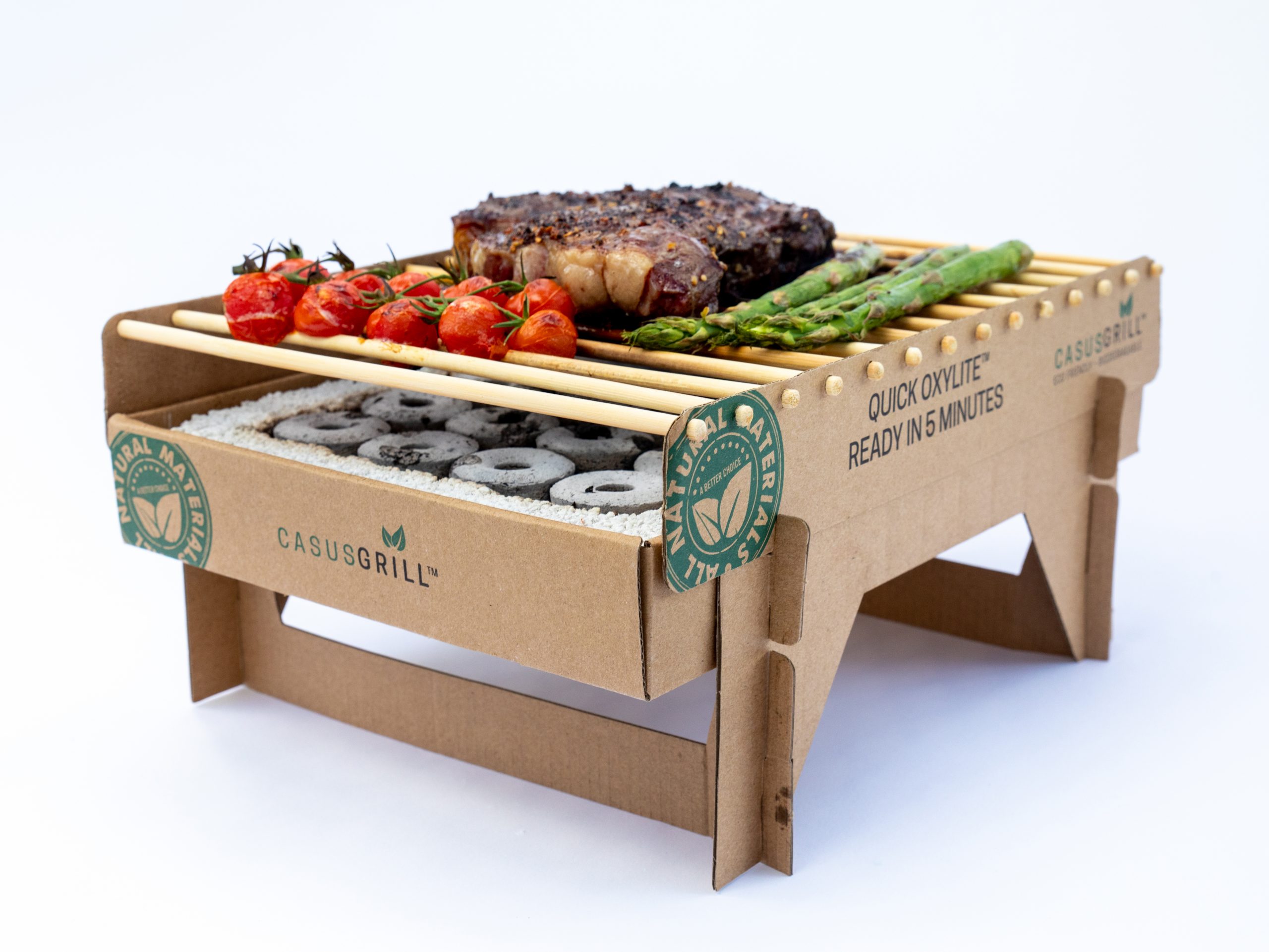 I. Introduction to Environmentally Friendly BBQ Grills