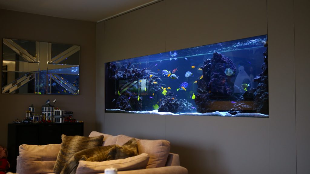 Bespoke aquarium sales